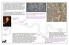 ros13 booth expedition_thumb.gif